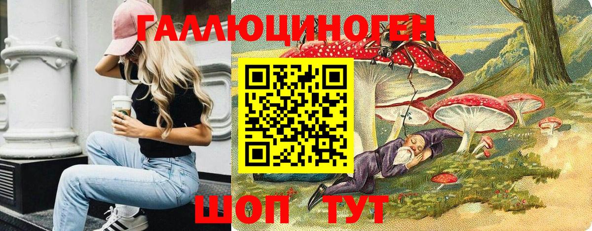 Пугачёв  Псилоцибиновые грибы Cubensis  как найти закладки  Вход с VPN 