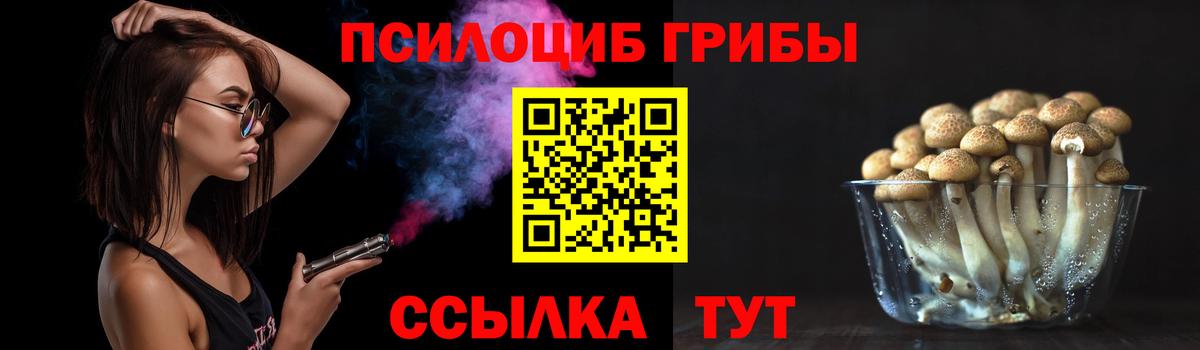 Псилоцибиновые грибы Cubensis Пугачёв